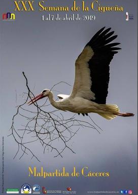 La previsión de lluvia obliga a suspender varias actividades de la XXX Semana de la Cigüeña