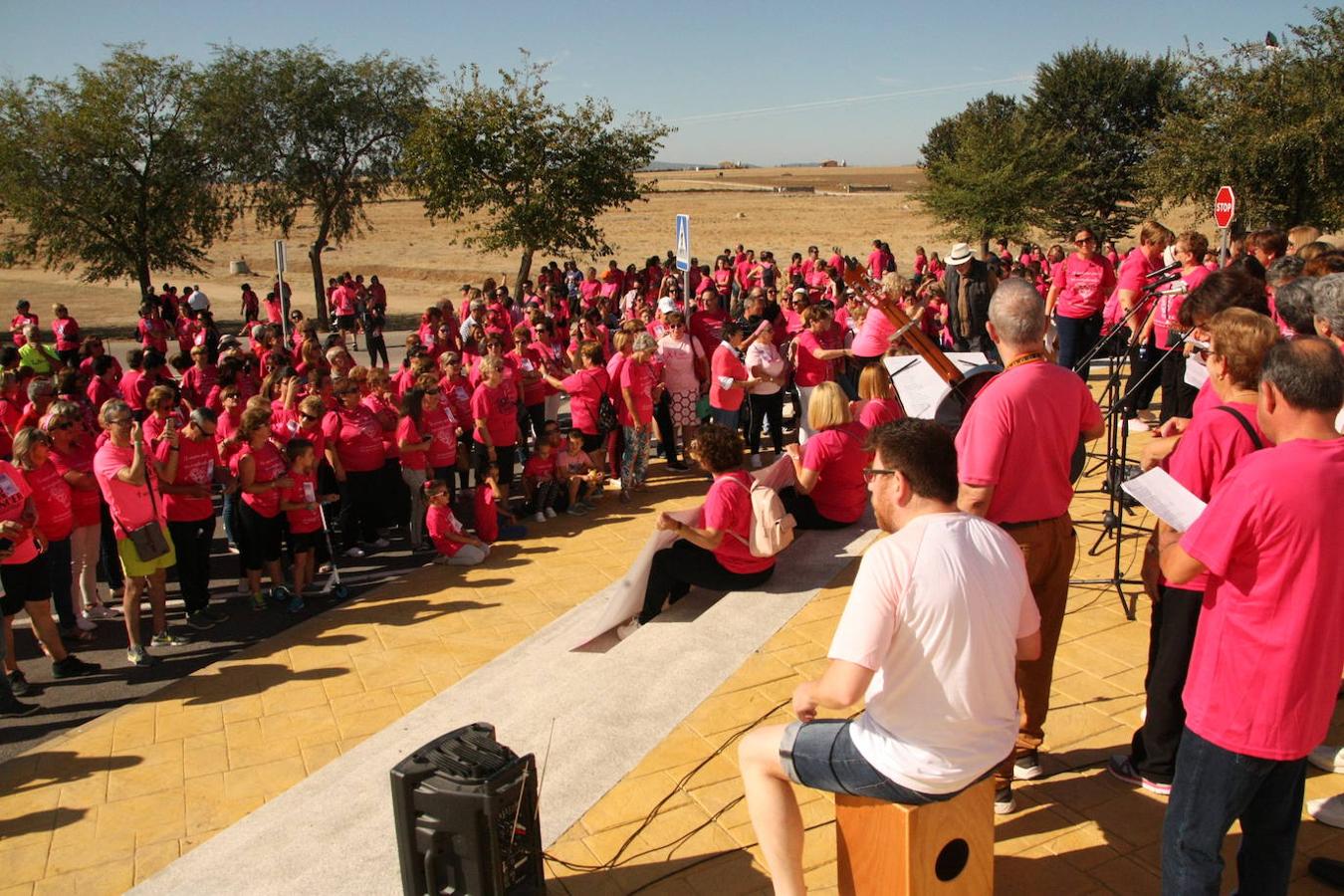El 6 de octubre se celebró la V Marcha Rosa Contra el Cáncer de Mama de Malpartida de Cáceres, organizada por la junta local de Malpartida de Cáceres de la AECC, con la colaboración del Ayuntamiento de la localidad. Tras la marcha los asistentes disfrutaron de una degustación de migas, elaboradas por Juan García y voluntarias. Finalizaron con una exhibición de zumba y bodycombat.