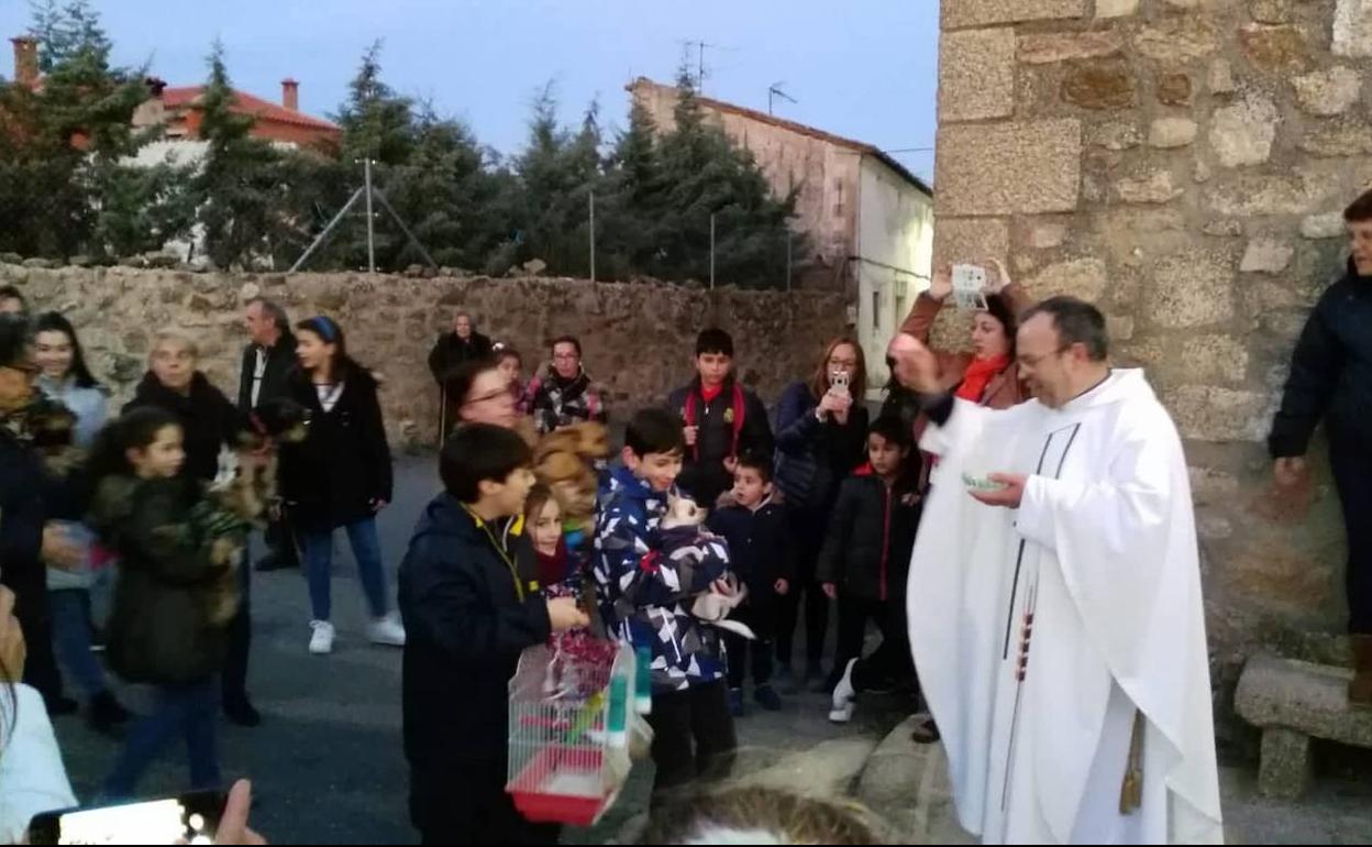 Bendición de los animales del pasado año. 