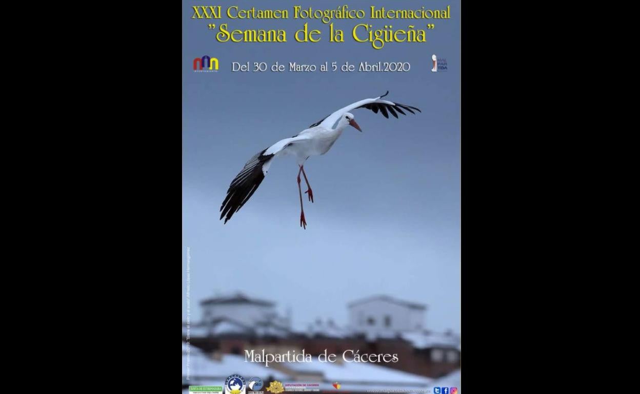 El Ayuntamiento convoca el XXXI certamen fotográfico internacional 'Semana de la Cigüeña' 2020