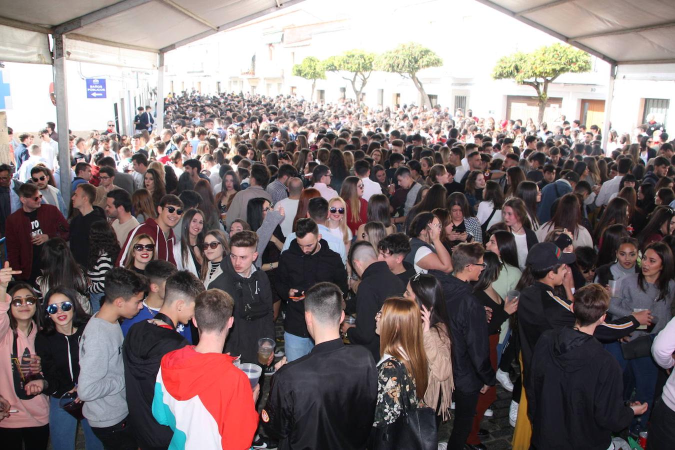 Fotos: La Pedida de la Patatera