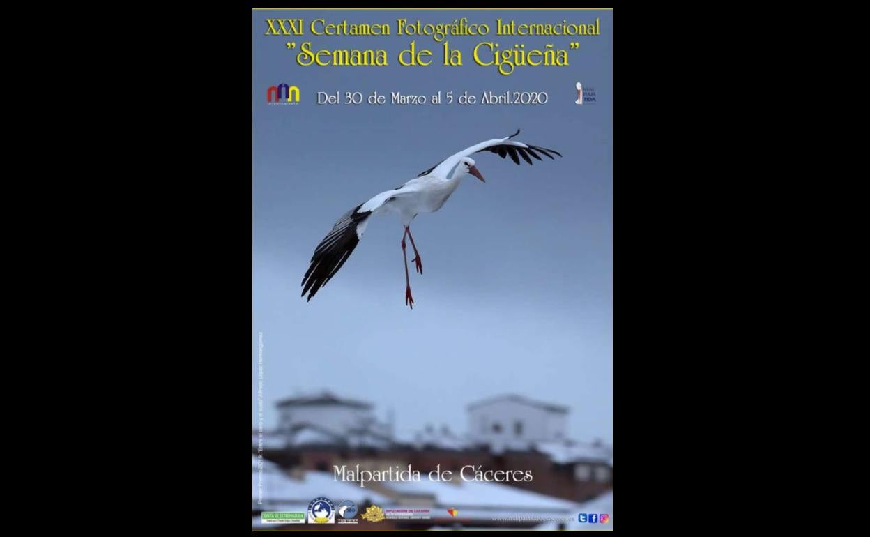 Últimos días para participar en el XXXI certamen fotográfico internacional 'Semana de la Cigüeña' 2020