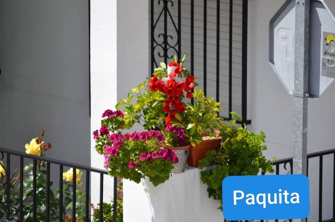 Fotos: Cruz de Mayo 2020