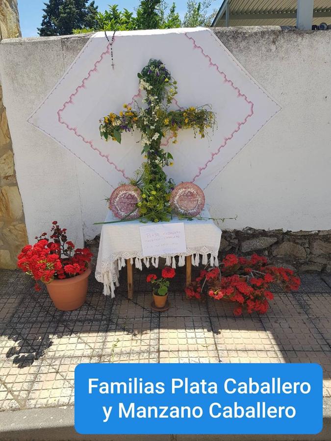 Fotos: Cruz de Mayo 2020