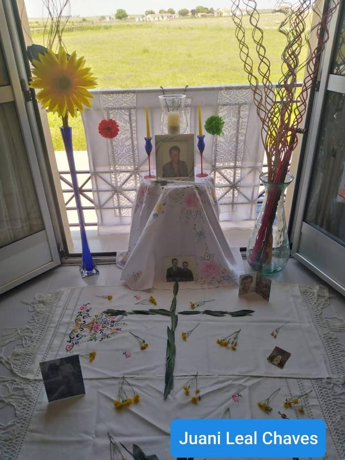 Fotos: Cruz de Mayo 2020