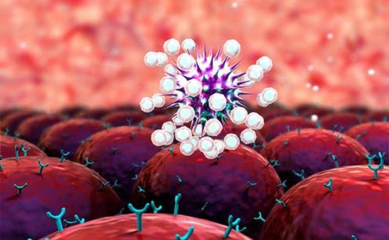 El antivirus más potente contra la Covid-19: nuestro sistema inmune