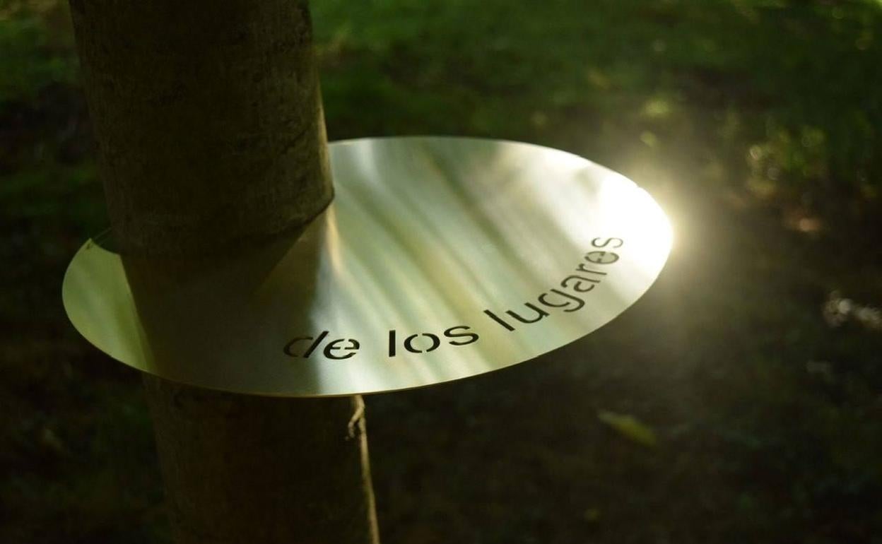 Imagen: Virginia López. «Bajo mi sombra el tiempo trascendido» (detalle), 2019