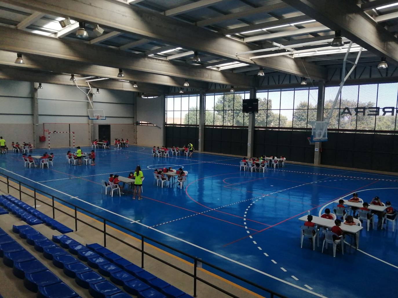 Imagen secundaria 1 - Los distintos grupos están separados unos de otros. 