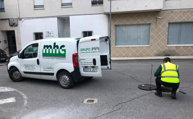 Imagen principal - El Ayuntamiento de Malpartida de Cáceres ha realizado la campaña de otoño de desratización