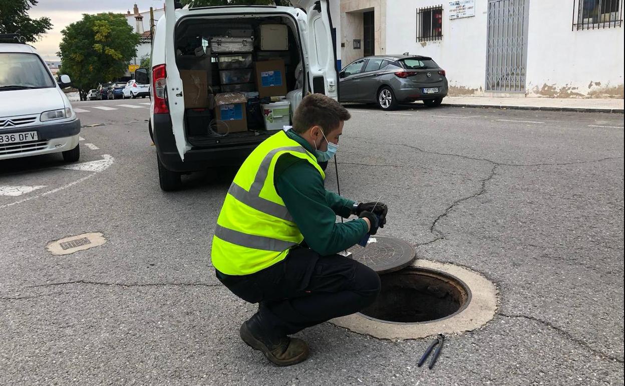 El Ayuntamiento de Malpartida de Cáceres ha realizado la campaña de otoño de desratización