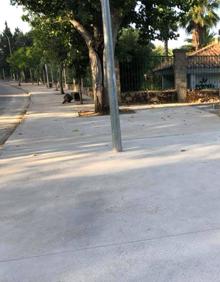 Imagen secundaria 2 - Arriba, trabajos que se están realizando actualmente. Debajo, primer tramo finalizado el pasado verano. 