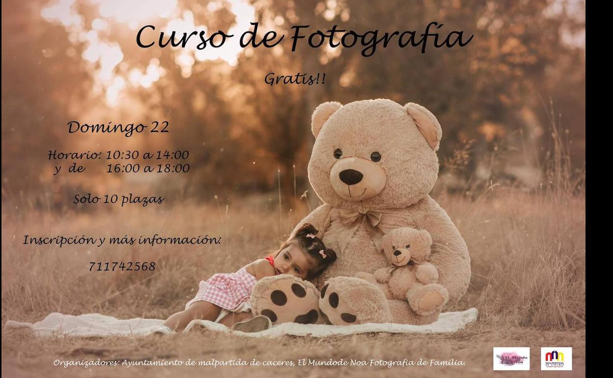 El Ayuntamiento y El Mundo de Noa Fotografía de Familia organizan un curso de fotografía gratuito