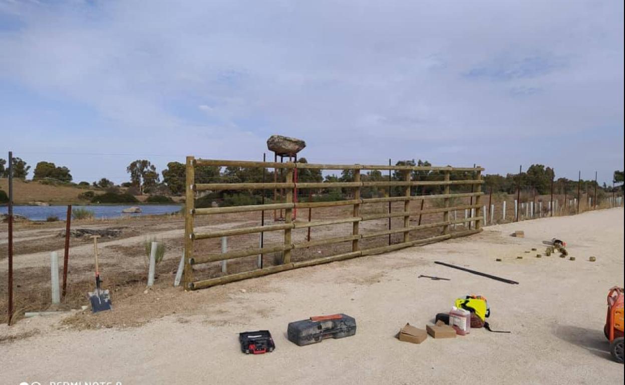 Observatorio de aves durante su construcción. 