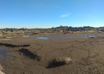 Imagen secundaria 1 - Camiones del Infoex de la Junta de Extremadura colaboran en el secado del Barrueco
