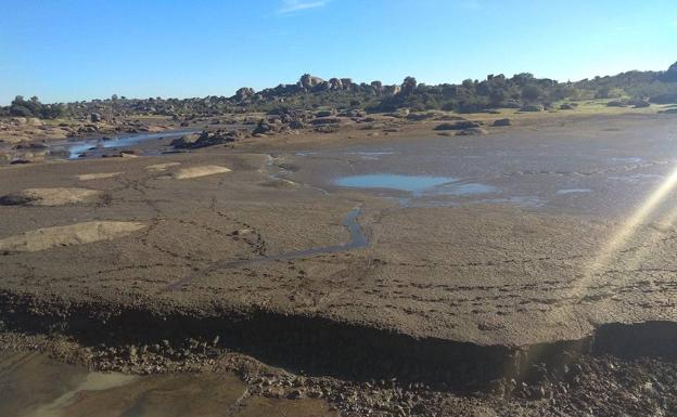 Imagen principal - Camiones del Infoex de la Junta de Extremadura colaboran en el secado del Barrueco