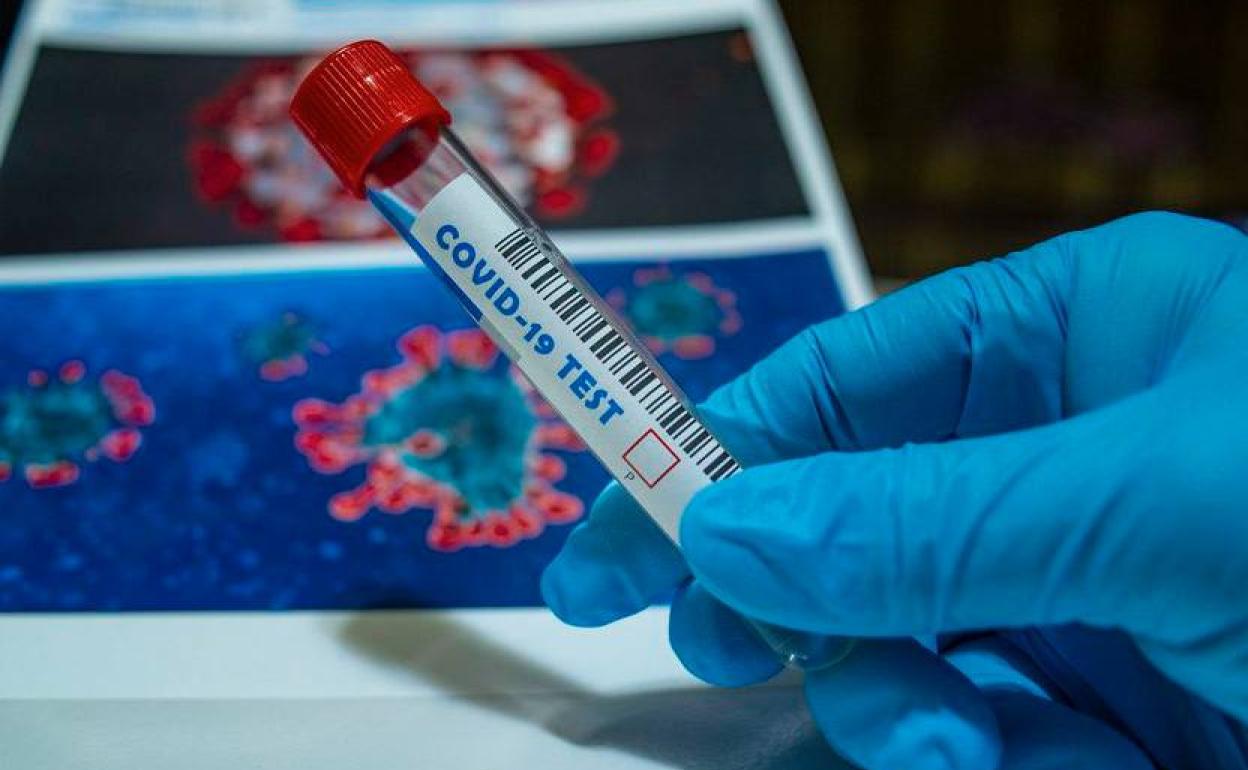 No se detectan positivos en los 220 test de antígenos realizados en el último cribado