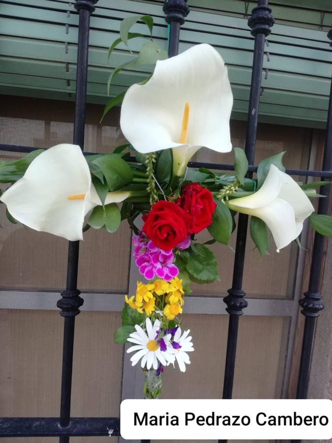 Cruz de Mayo de los Pisos Tutelados. 