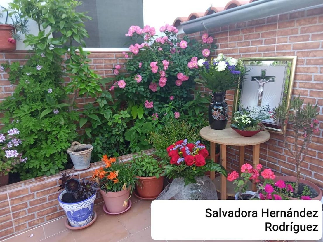 Cruz de Mayo de los Pisos Tutelados. 