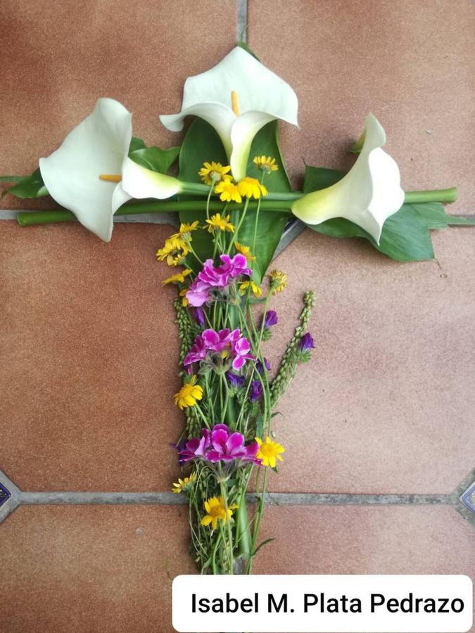 Cruz de Mayo de los Pisos Tutelados. 