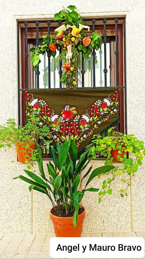 Cruz de Mayo de los Pisos Tutelados. 