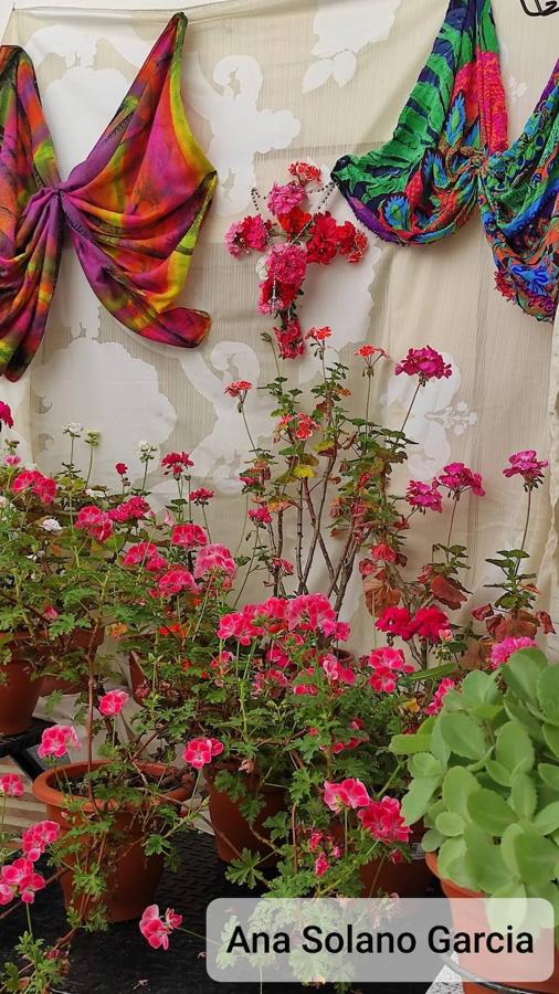 Cruz de Mayo de los Pisos Tutelados. 