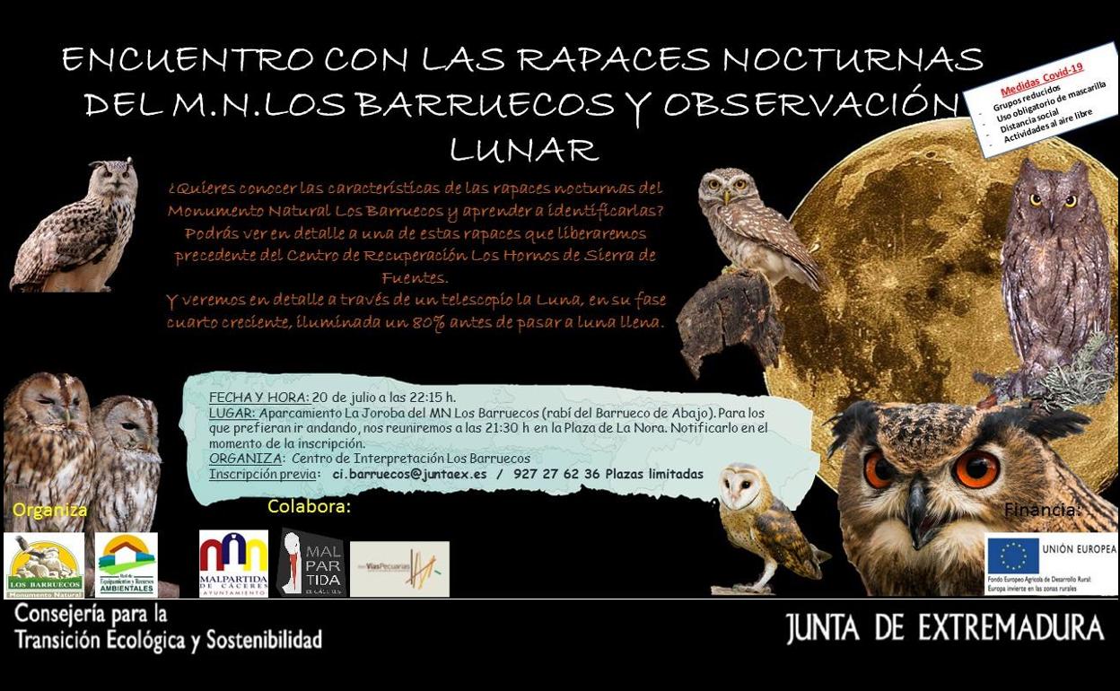 Encuentro con las rapaces nocturnas y observación lunar en el Monumento Natural Los Barruecos
