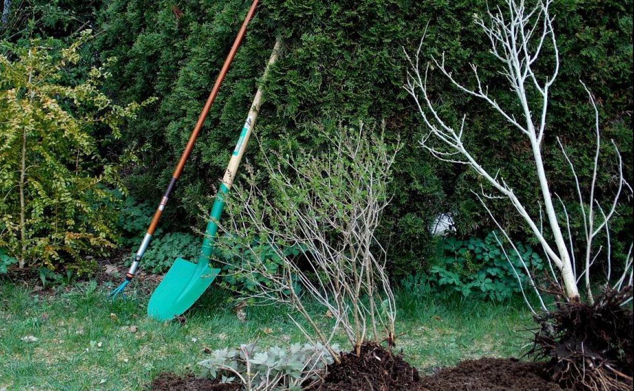 Malpartida abre el proceso para la contratación de un peón de jardinería
