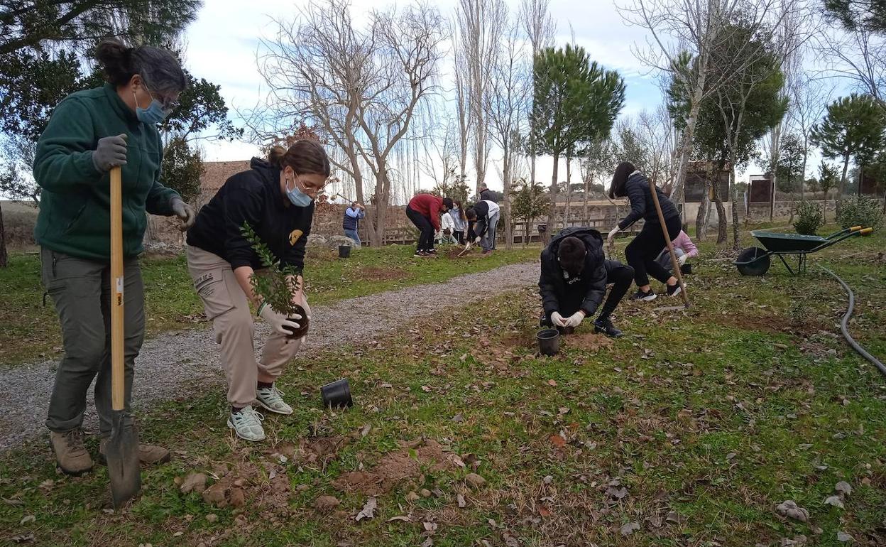 Un grupo de alumnos en el jardín botánico. 