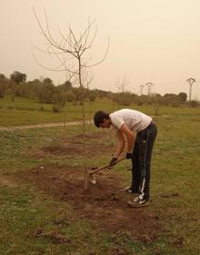 Imagen secundaria 2 - El Centro de Interpretación planta almeces en la zona que se convertirá en el nuevo aparcamiento de autobuses