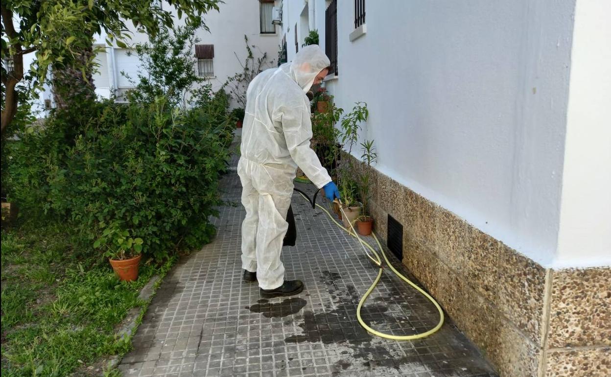 El Ayuntamiento local pone en marcha la campaña de desratización y desinsectación