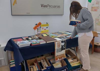 Imagen secundaria 1 - Punto de adopción de libros. 