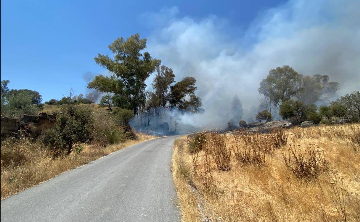 Malpartida de Cáceres ha sufrido un incendio en la zona del paraje de la Huerta de los Lobos