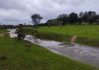 Imagen secundaria 1 - El agua corriendo por Los Barruecos.