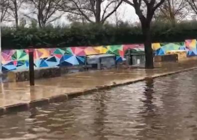 Imagen secundaria 1 - Una gran balsa de agua en la zona de la piscina municipal y un árbol caído.
