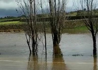 Imagen secundaria 1 - Terrenos inundados y caminos cortados en varios lugares.