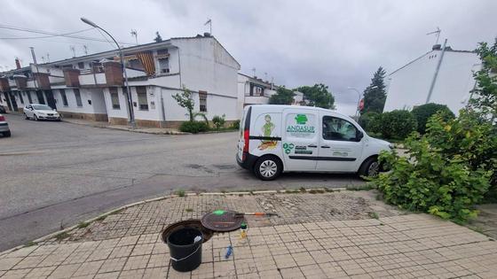 El Ayuntamiento lleva a cabo un nuevo tratamiento de desinsectación y desratización en el municipio