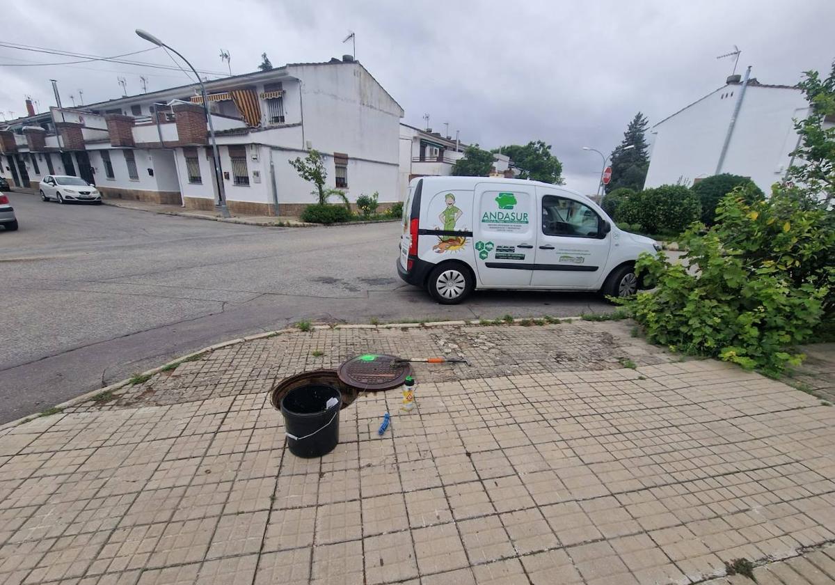 El Ayuntamiento lleva a cabo un nuevo tratamiento de desinsectación y desratización en el municipio