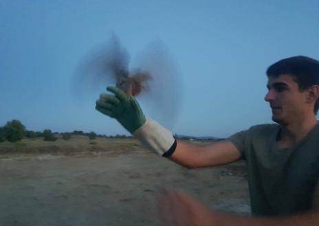 Imagen secundaria 1 - Liberación de una de las aves.