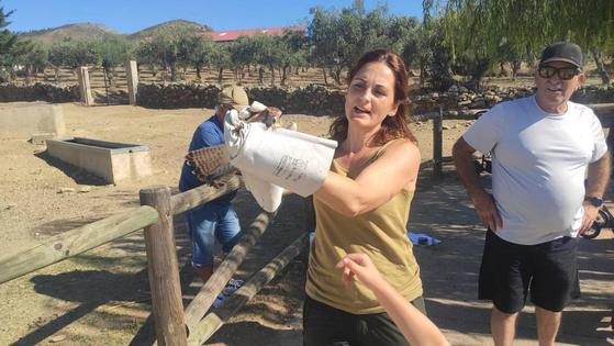 El Centro de Interpretación M. N. Barruecos libera dos pollos ce cernícalo en Casas de Millán
