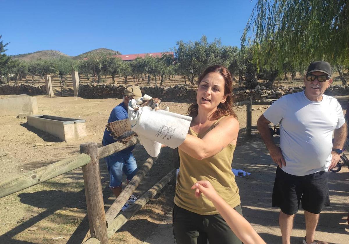 El Centro de Interpretación M. N. Barruecos libera dos pollos ce cernícalo en Casas de Millán