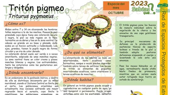 El Centro de Interpretación da a conocer al Tritón Pigmeo