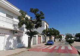 Algunos de los árboles han sufrido la caída de ramas.