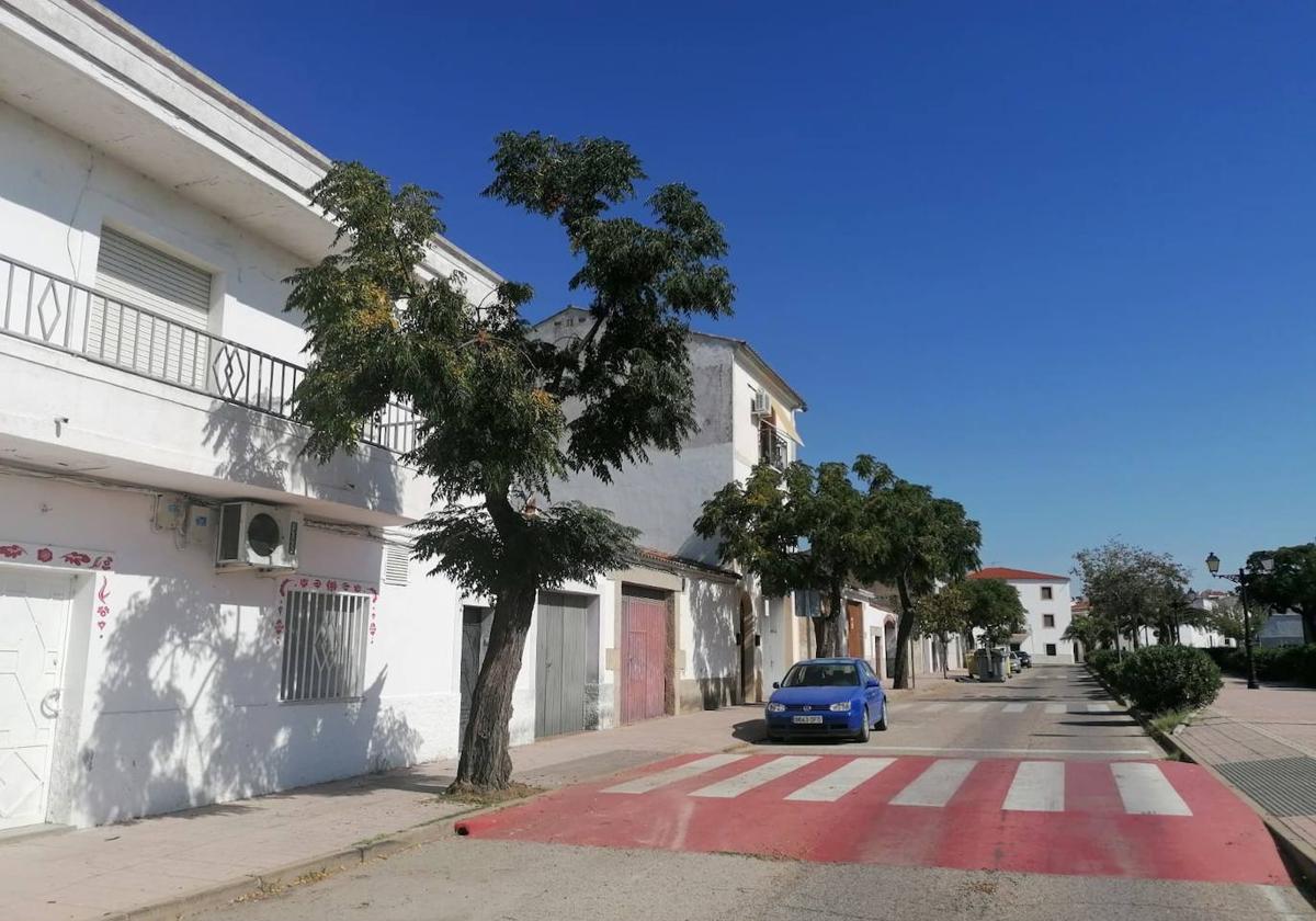 El Ayuntamiento lleva a cabo la poda y desmoche de los árboles de la calle Cervantes