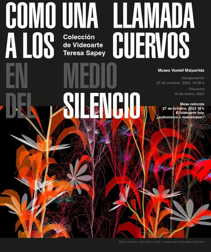 El MVM acoge 'Como una llamada a los cuervos en medio del silencio'
