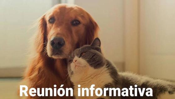 Reunión para formar un grupo de voluntarios amantes de los animales