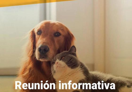 Reunión para formar un grupo de voluntarios amantes de los animales