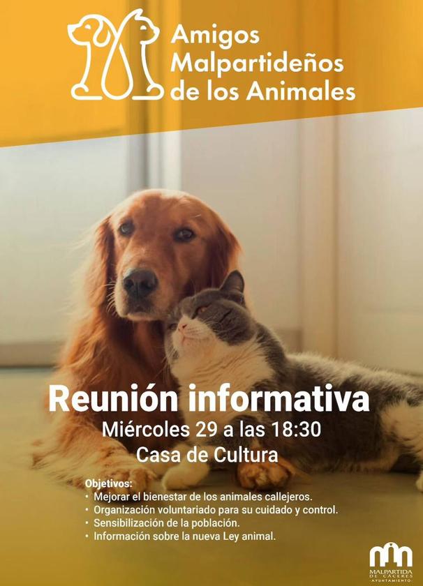 Reunión para formar un grupo de voluntarios amantes de los animales