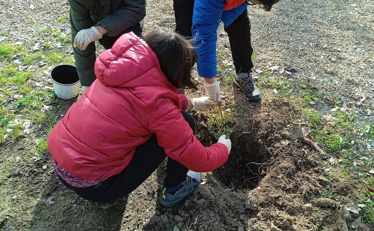 El Centro de Interpretación celebra el Día Mundial de la Educación Ambiental reforestando el jardín botánico