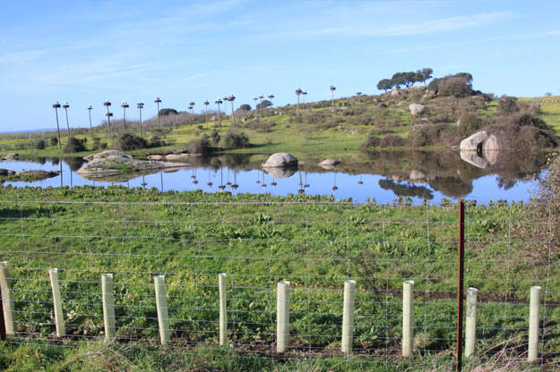  'Humedal de la Cigüeña’ en Malpartida de Cáceres. 