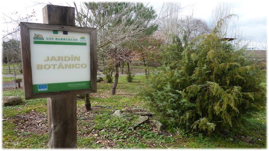 Los estudiantes de 4º de ESO ayudarán a repoblar el jardín botánico del Centro de Interpretación